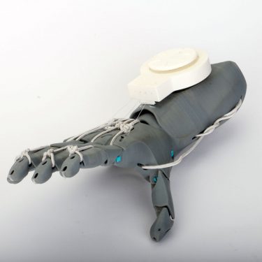 Bionic-Limbs---Prototype-Square